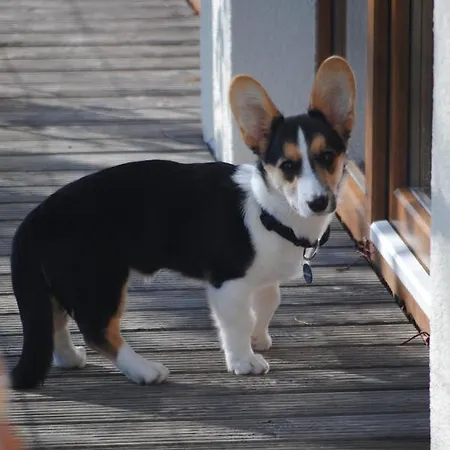 Hinter Den Spiegeln 3*