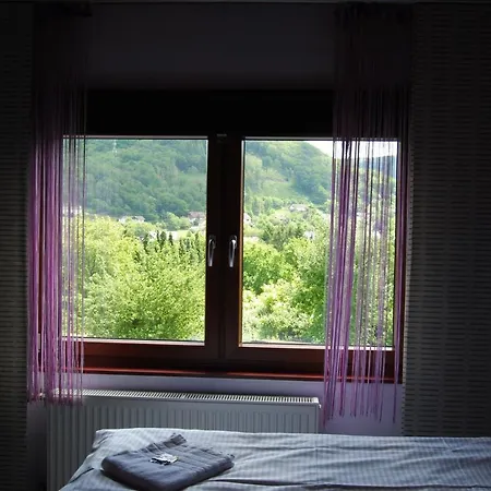 Hinter Den Spiegeln 3* ハイムバッハ