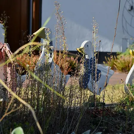 Hinter Den Spiegeln 하임바흐