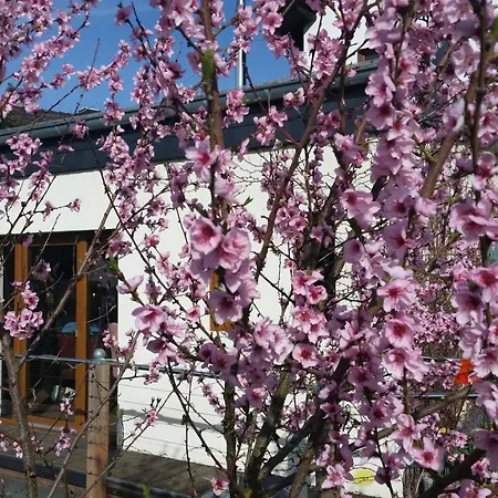 Hinter Den Spiegeln 하임바흐