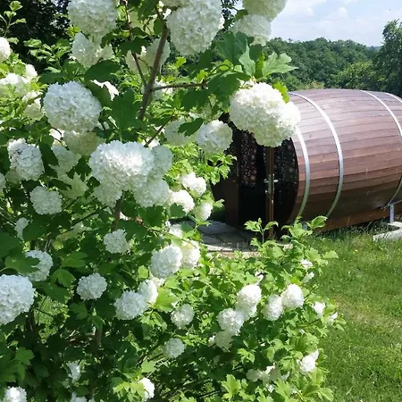 호텔 Hinter Den Spiegeln 하임바흐