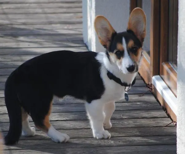 Hinter Den Spiegeln 3*