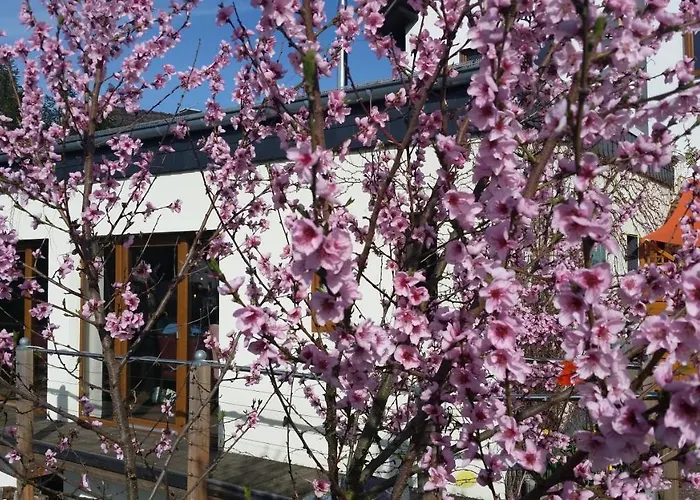 Hinter Den Spiegeln Heimbach